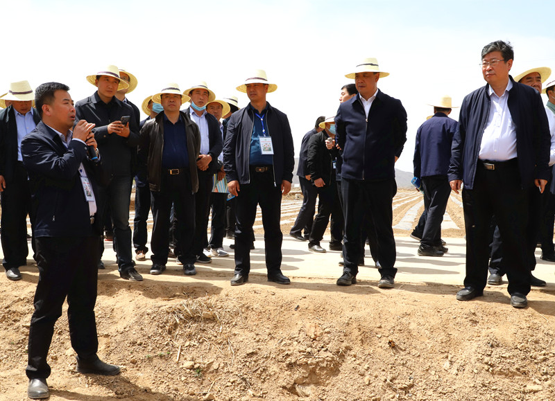 全省马铃薯绿色标准化示范基地建设现场会在定西召开