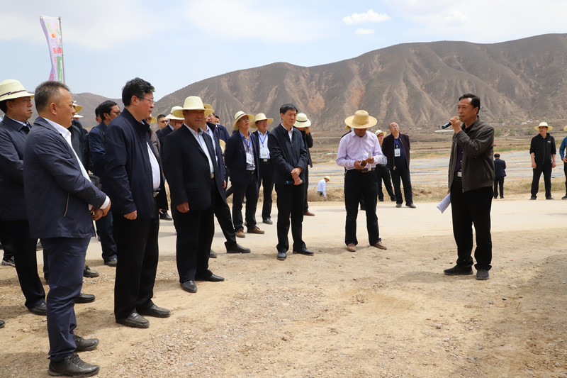 全省马铃薯绿色标准化示范基地建设现场会在定西召开