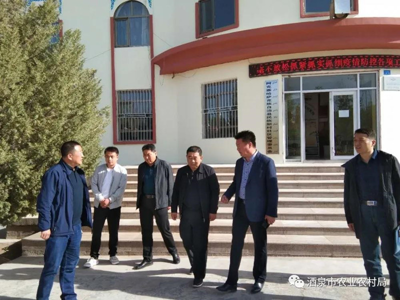 省农业农村厅调研组对酒泉市农村人居环境整治工作开展调研指导