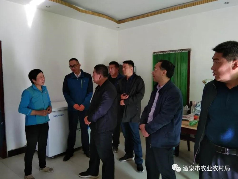 省农业农村厅调研组对酒泉市农村人居环境整治工作开展调研指导