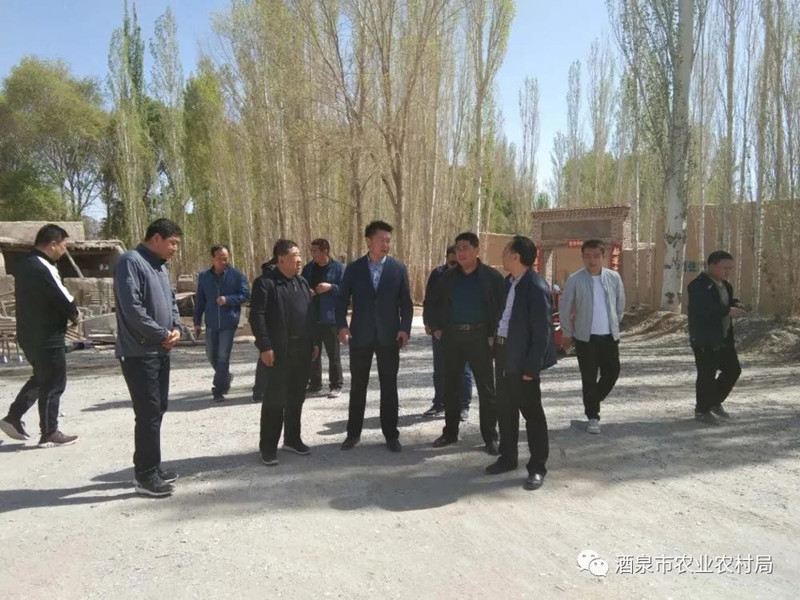 省农业农村厅调研组对酒泉市农村人居环境整治工作开展调研指导