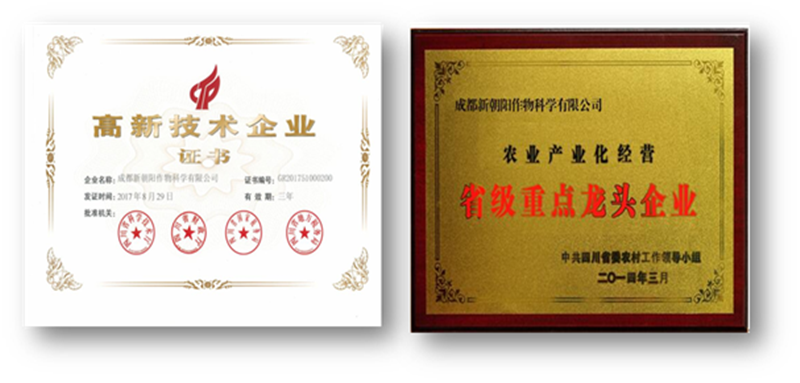 成都新朝阳荣获“‘两个替代’科技示范企业”称号