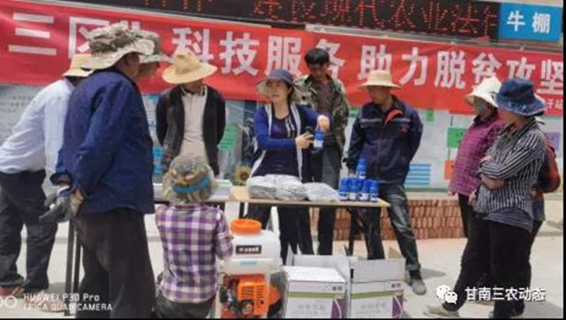 甘南州种子站跟踪式服务推进关键技术进田入户