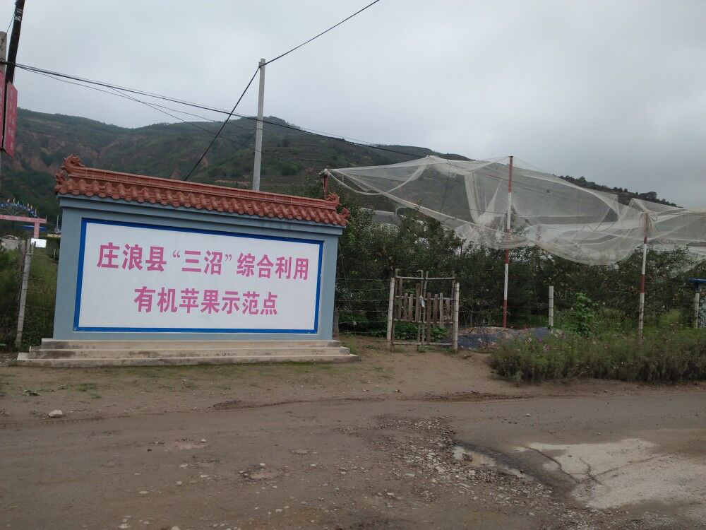 庄浪县依托苹果有机肥代替化肥项目打造畜沼果循环农业