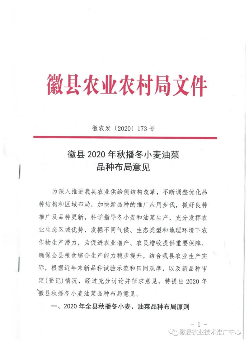 徽县2020年秋播冬小麦油菜品种布局意见