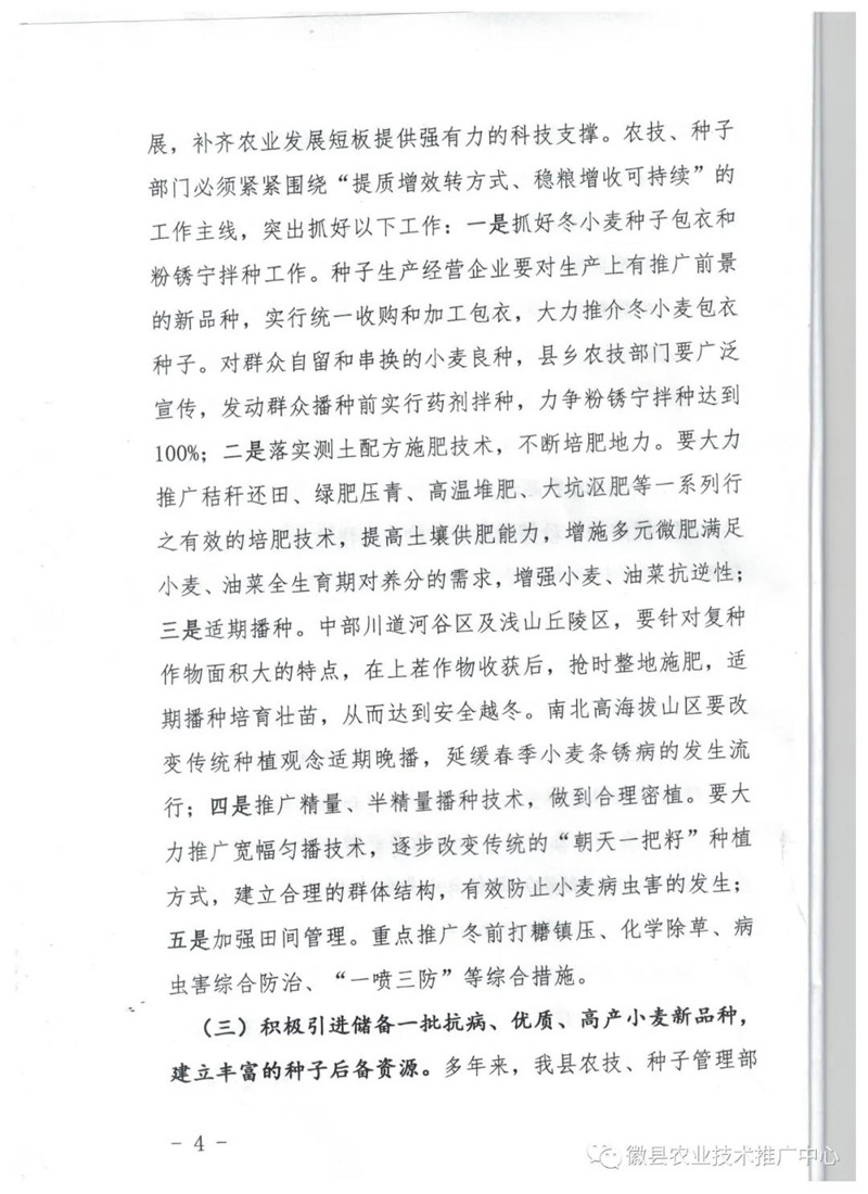 徽县2020年秋播冬小麦油菜品种布局意见