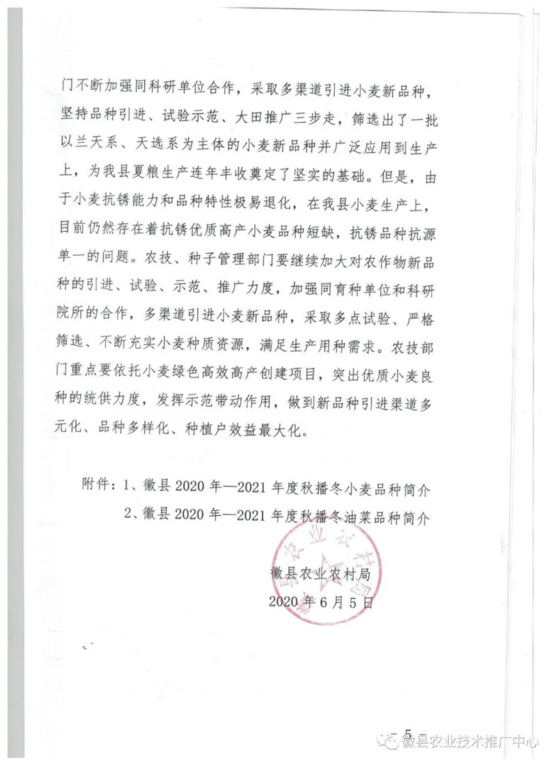徽县2020年秋播冬小麦油菜品种布局意见