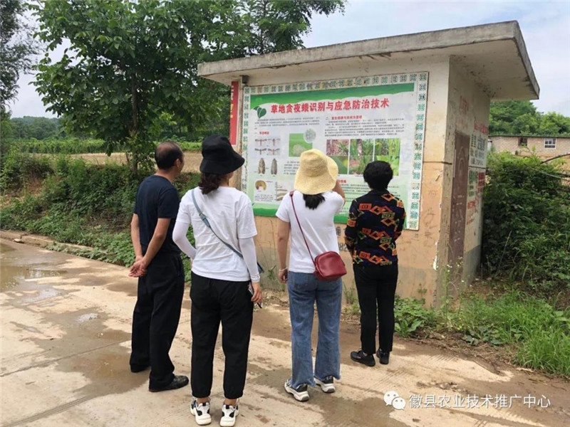 徽县农技中心党支部开展“加强草地贪夜蛾监测防控,保障粮食生产安全”党日活动