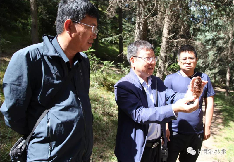 祁连山的守护神——记甘肃省祁连山水源涵养林研究院院长刘贤德