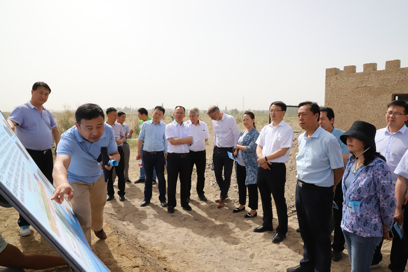 功能型精准湿地污水处理系统成为我省多地农村治污首选技术