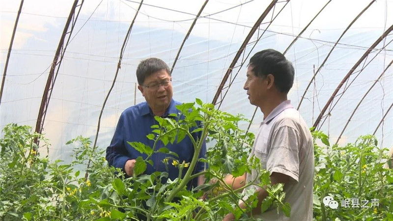 省级专家服务团帮扶岷县活动圆满结束