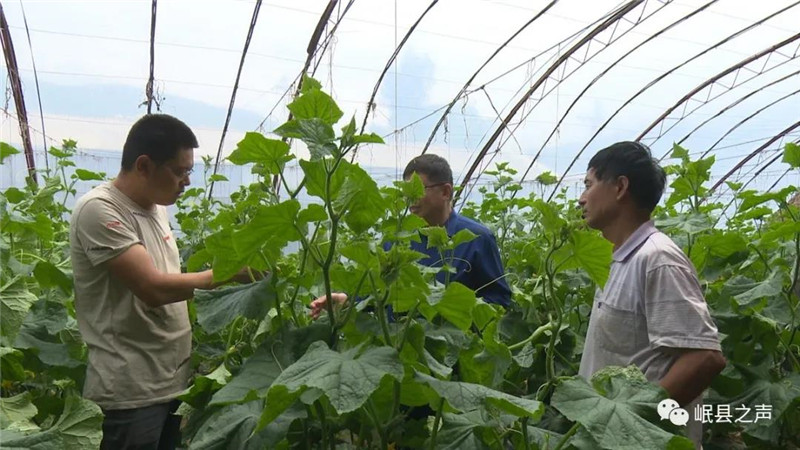 省级专家服务团帮扶岷县活动圆满结束