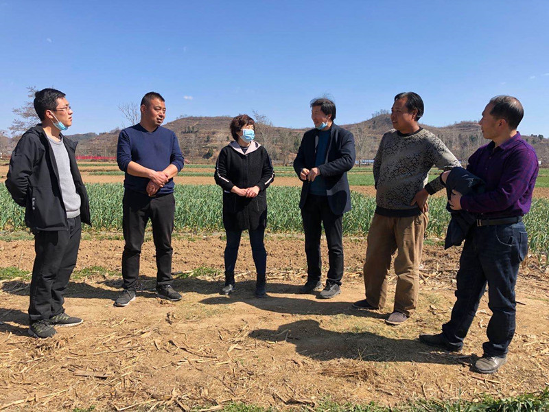 泥阳镇积极实施徽县2020年旱作节水农业技术推广项目