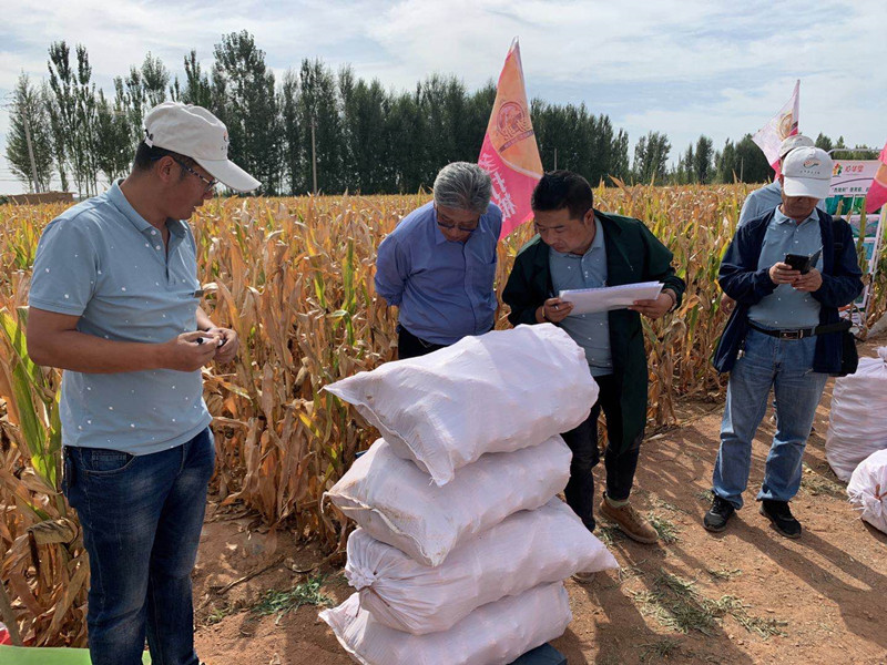 谷丰源农工场通过测产评价诠释农业生产托管服务的价值