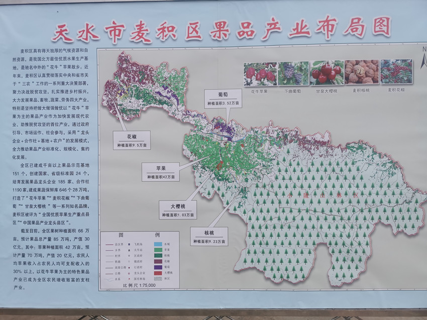 全国农产品仓储保鲜冷链物流设施建设现场会在天水召开