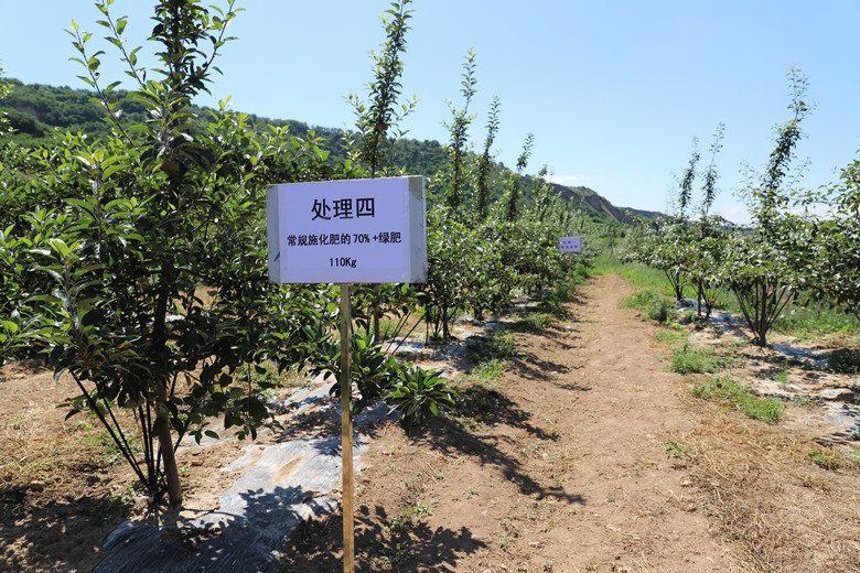 麦积区示范推广苹果有机肥替代化肥技术目标任务确定