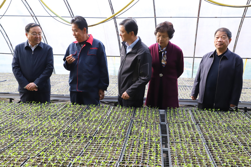 全省农业产业强镇建设现场推进会在靖远县召开