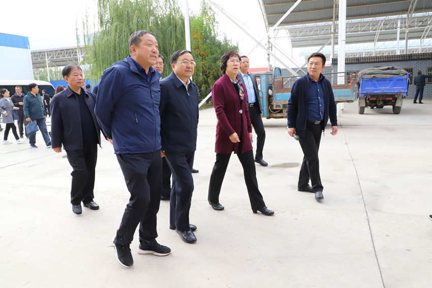 全省农业产业强镇建设现场推进会在靖远县召开