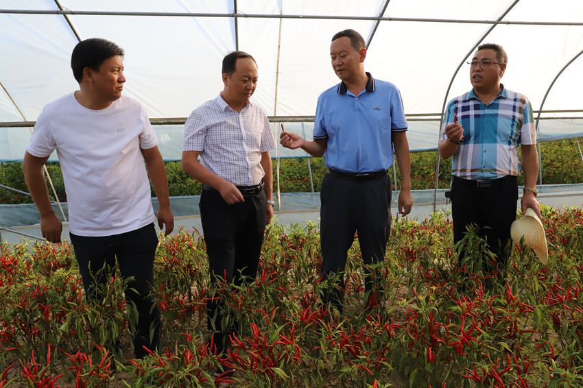 甘肃阿索食品集团有限公司董事长杨锁记先生简介