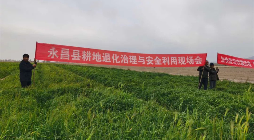 永昌县召开退化耕地治理与安全利用现场会