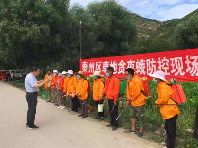 秦州区农业农村局积极开展草地贪夜蛾虫情防治防控工作