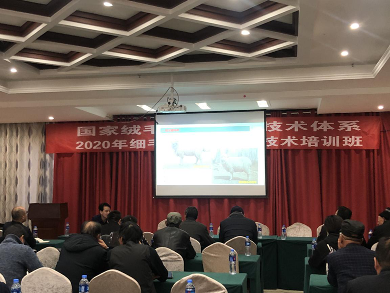2020年细毛羊绿色发展技术培训班在天祝县开班