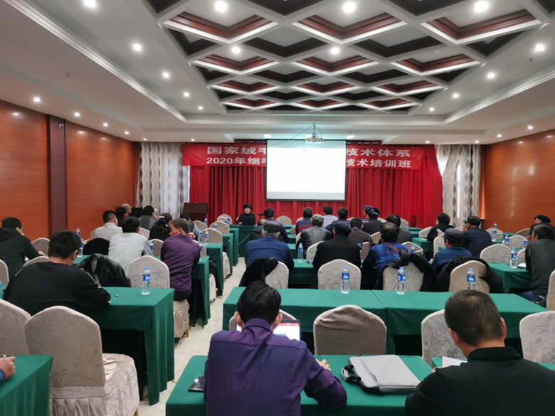 2020年细毛羊绿色发展技术培训班在天祝县开班
