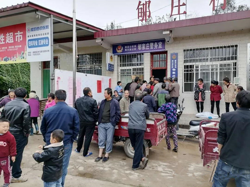 徽县农技中心积极开展冬小麦绿色高质高效技术示范田建设及服务指导工作