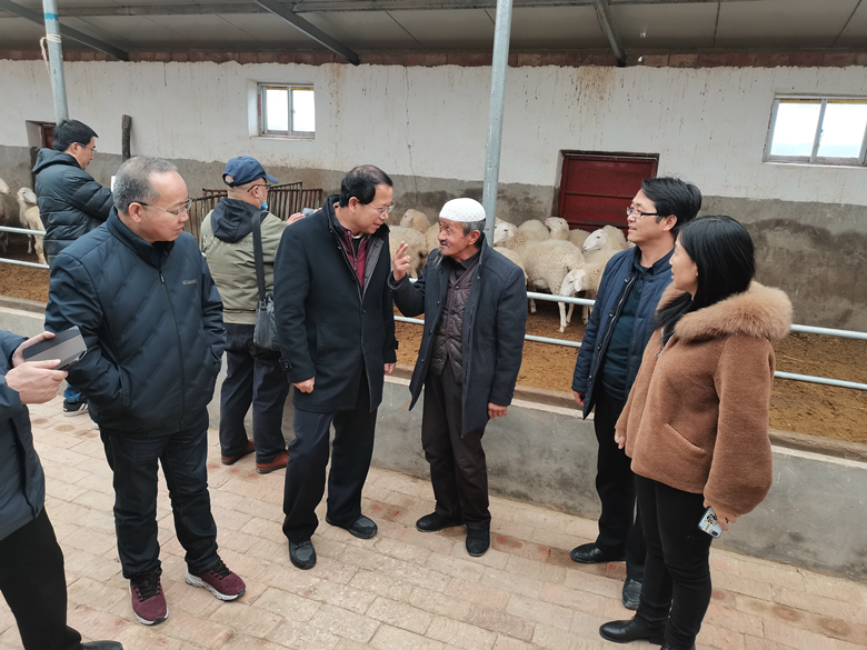 省畜牧总站组织国家肉羊体系专家开展2020年科技助力东乡羊产业增收行