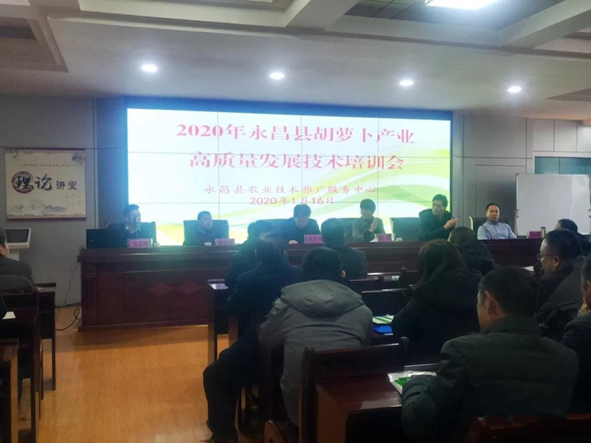永昌县农技服务中心举办胡萝卜产业高质量发展培训会