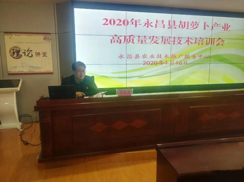 永昌县农技服务中心举办胡萝卜产业高质量发展培训会