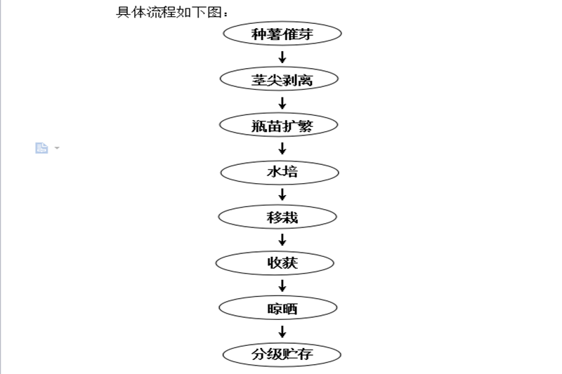 庄浪县陇源薯业有限责任公司简介