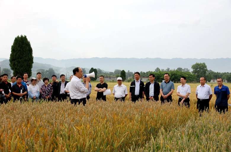 徽县：不断加大农技推广力度 全力保障粮食生产安全