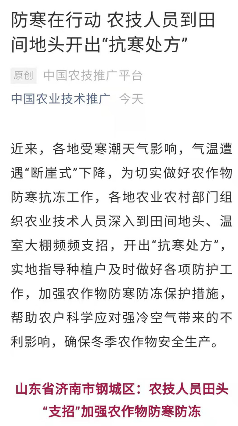 敦煌农技中心应对防寒措施被全国农技中心向全国推广