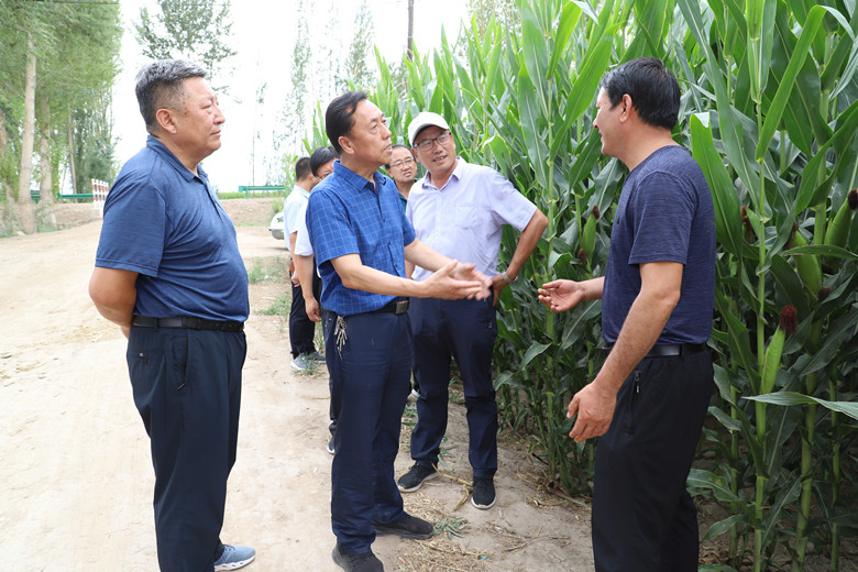 临泽县2020年旱作节水农业技术推广项目节本增效显著