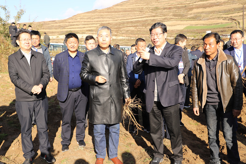 我省累计创建10个省级绿色农产品标准化生产基地