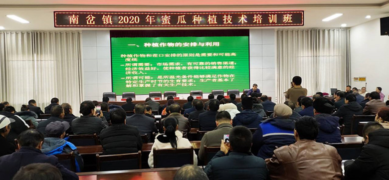 瓜州县农技中心强化农技服务振兴蜜瓜产业