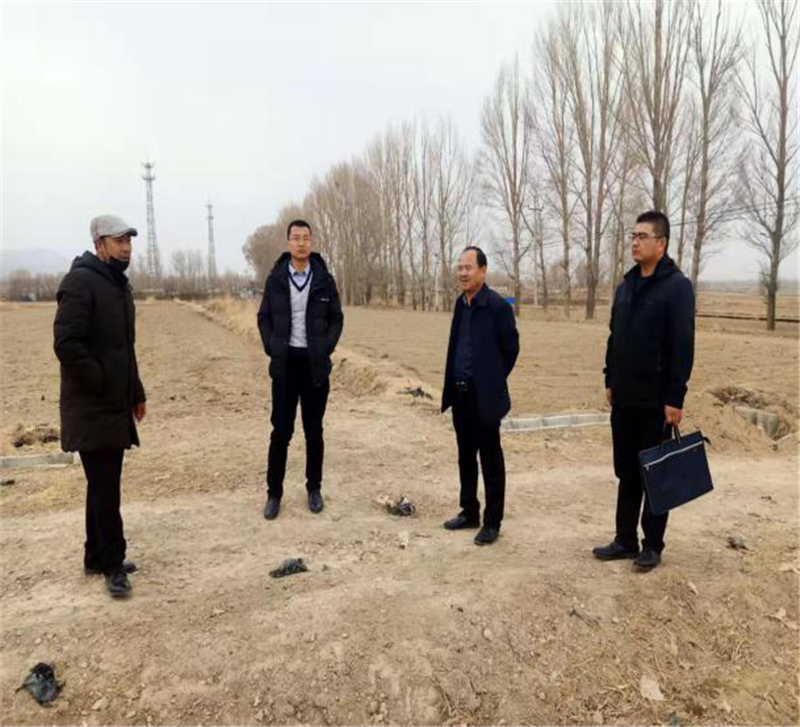 山丹农技中心抓早抓好小麦示范点工作