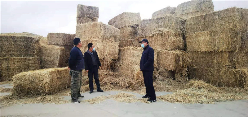 敦煌市“三到位”为春养备耕保驾护航