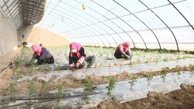 瓜州：好政策助惠农春耕