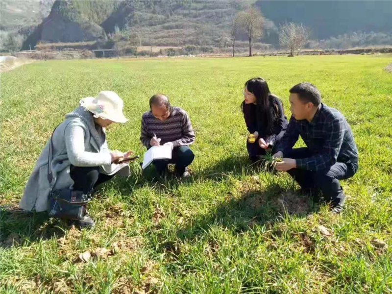 徽县：强化农技指导 助力春播备耕