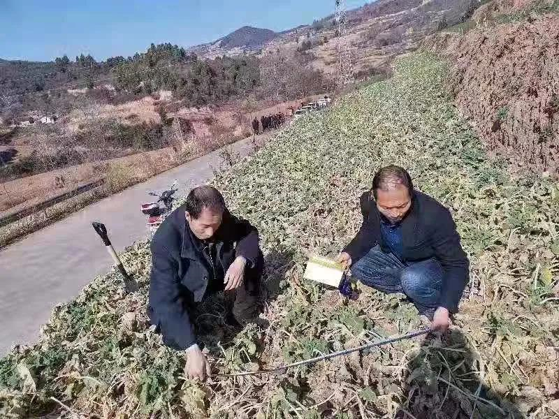 徽县：强化农技指导 助力春播备耕