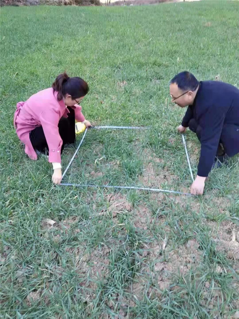 徽县：强化农技指导 助力春播备耕