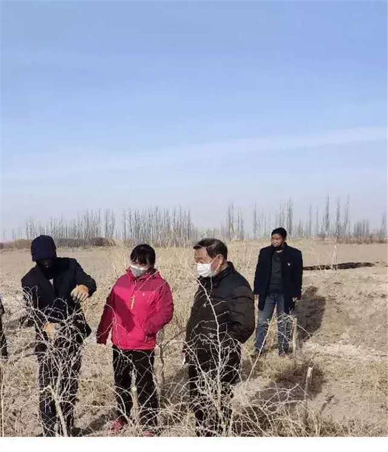 瓜州：党建引领，吹响春耕生产“集结号”