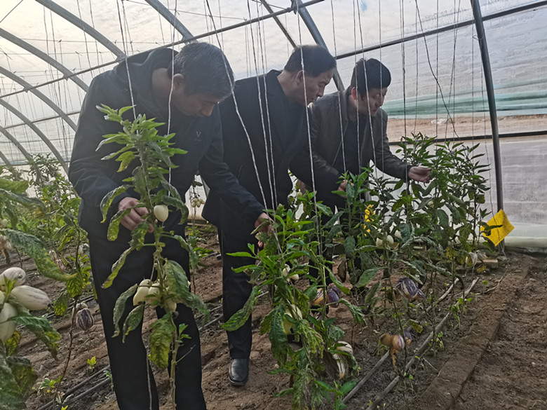敦煌市农技中心吹响春耕备耕“集结号”