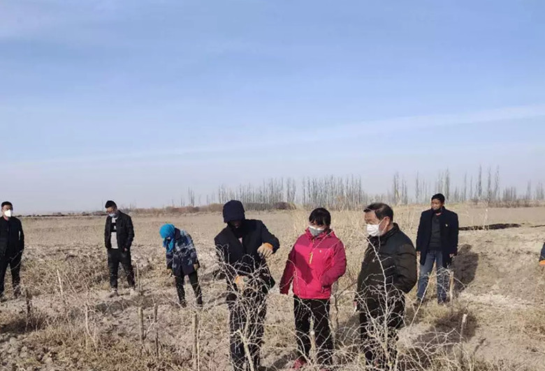 瓜州：党建引领吹响春耕生产“集结号”