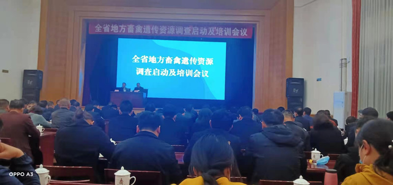 全省地方畜禽遗传资源调查启动会议在兰州召开