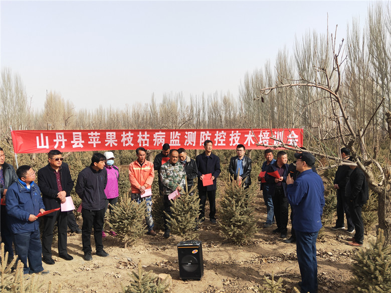 山丹县开展苹果枝枯病监测防控技术培训会