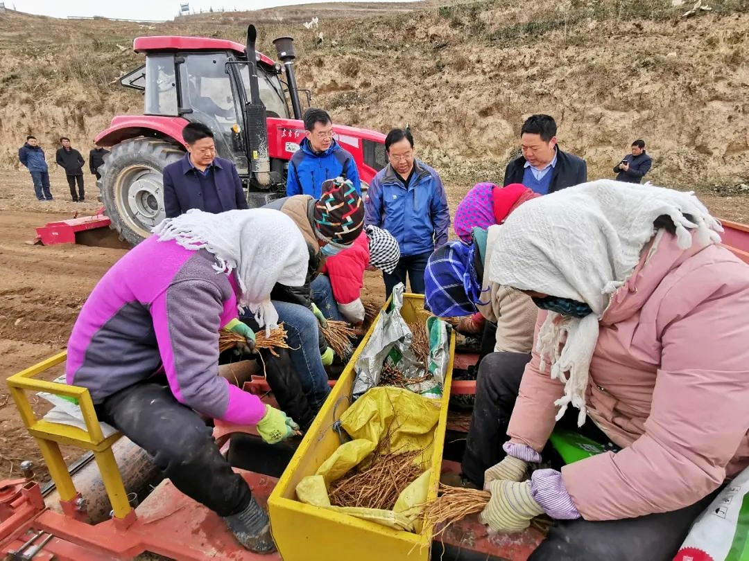 省经作站站长李向东调研宕昌县中药材绿色标准化生产基地建设安排抓点示范工作