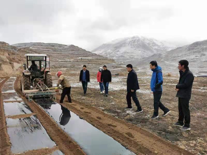 省经作站站长李向东调研宕昌县中药材绿色标准化生产基地建设安排抓点示范工作